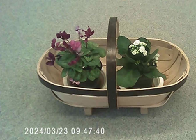 The traditional English trug.