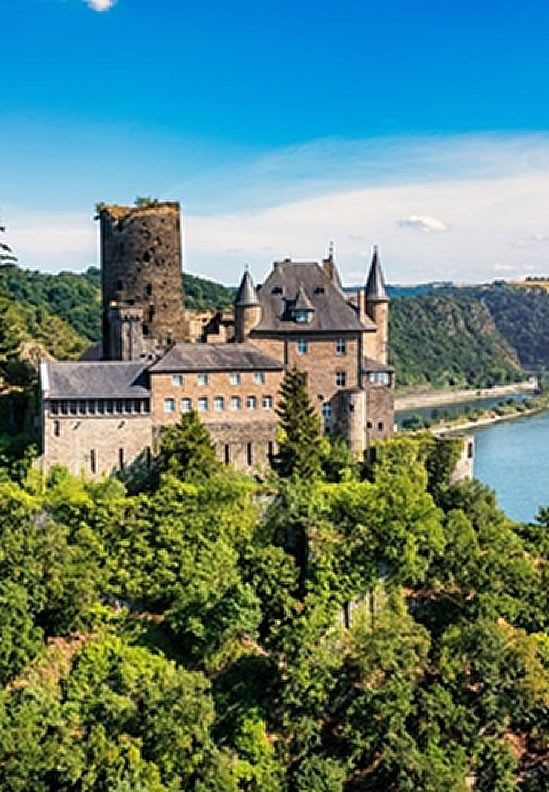Castle on the Rhine